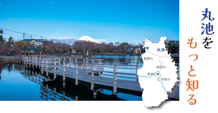 「丸池をもっと知る」ページのイメージ画像