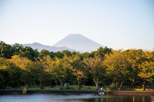 丸池と富士山（秋）の画像2