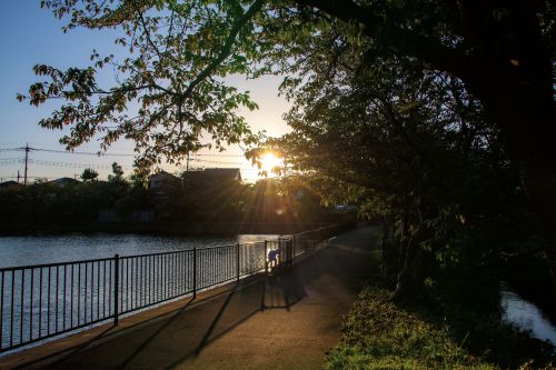 丸池の風景（秋）の画像2
