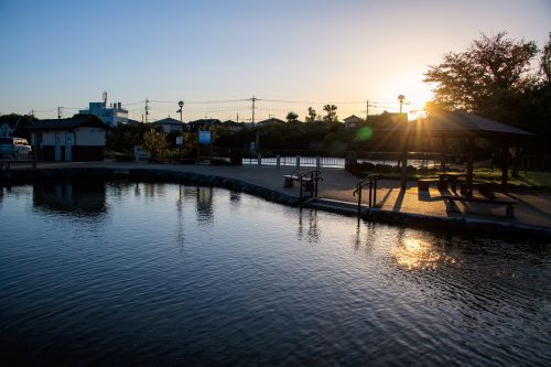 丸池公園（秋）の画像2
