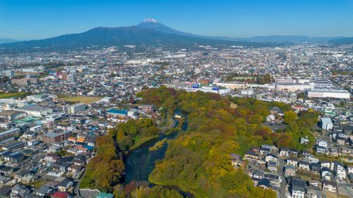 柿田川と富士山（秋）の画像