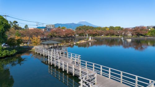 丸池（秋）の画像