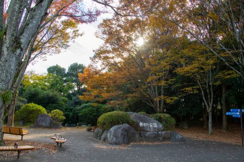 柿田川公園（秋）の画像1