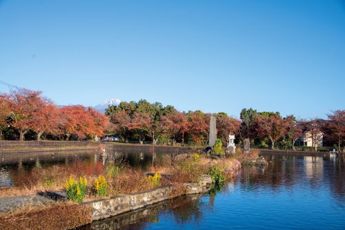 丸池（秋）の画像1