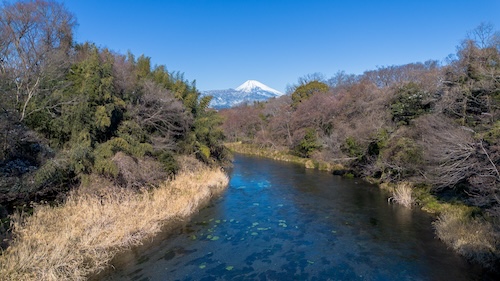 柿田川の空撮画像