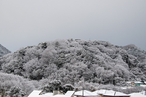 本城山（雪景色）の画像
