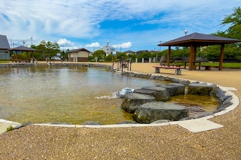 親水池の画像